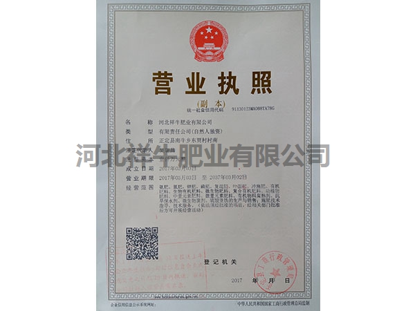 執(zhí)照副本