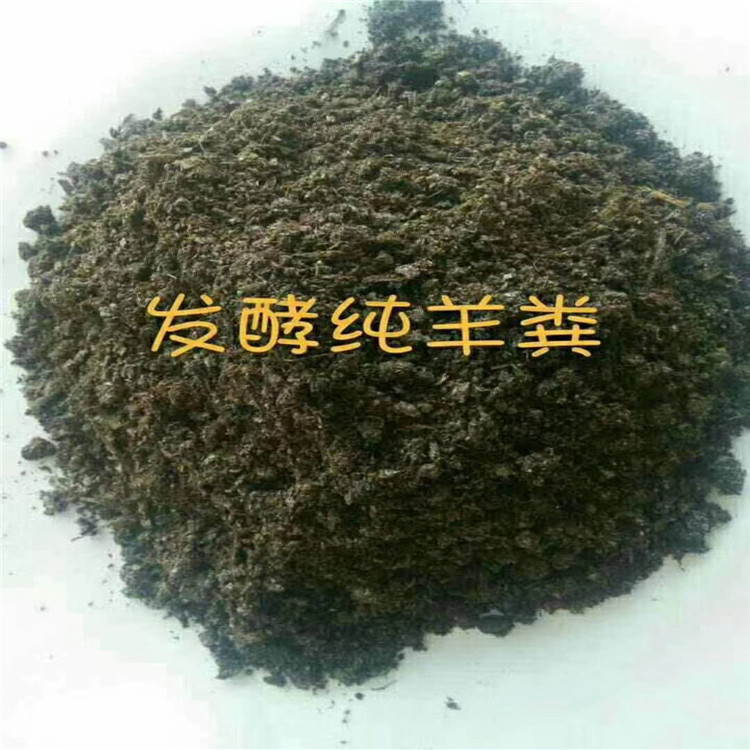 發(fā)酵純羊糞