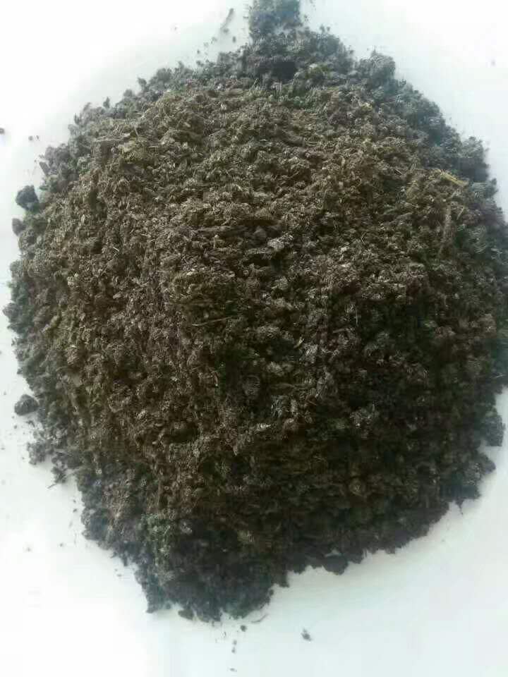 發(fā)酵純羊糞