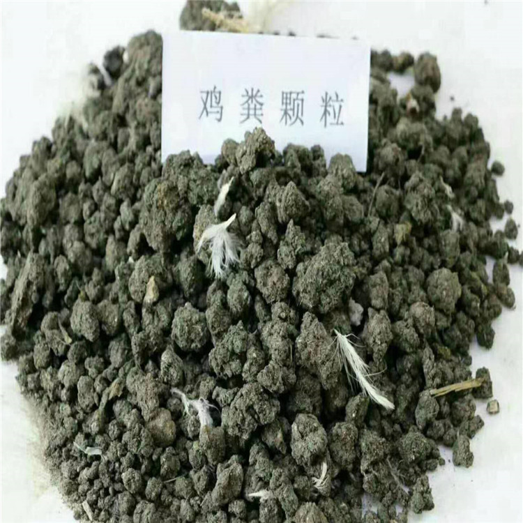 優(yōu)質(zhì)干雞糞